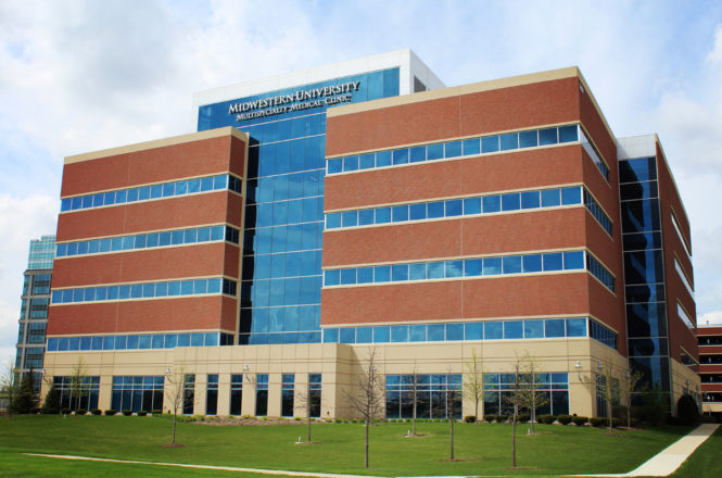 Multi-Specialty Medical Clinic – project photo 2