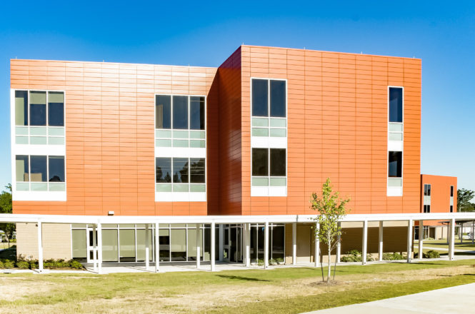 Architectural Canopy Lee Magnet High School